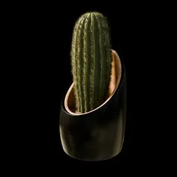 Modern Decoration Vase Cactus