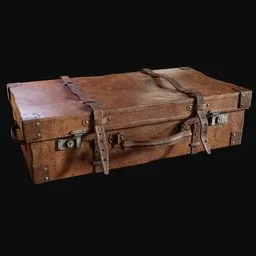 Strapped Leather Suitcase