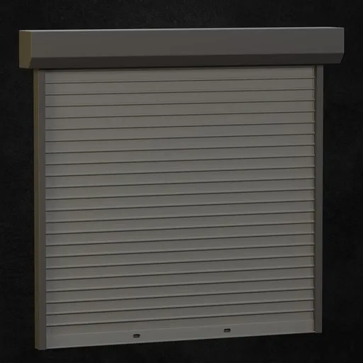 Garage Door