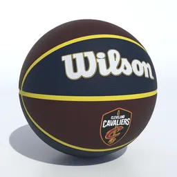Wilson Cleveland Cavaliers Basketball