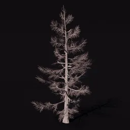 Highly detailed bare larch tree 3D model, suitable for Blender rendering and CG projects.
