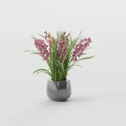 Pink Orchid Arrangement