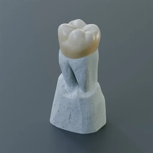 Tooth Sculpture Upper Second Premolar