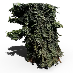 Tree with Vines