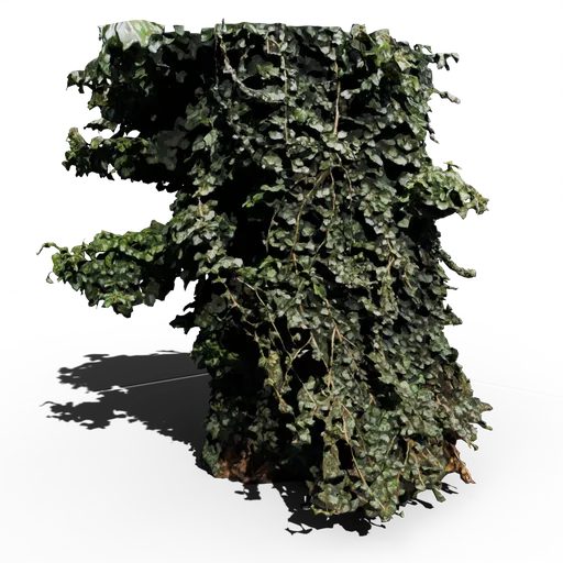 Tree with Vines