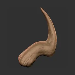 Forward Curl Horn