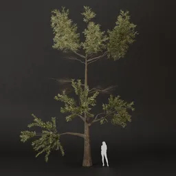 SJ-Bloom Touch Forest Pine
