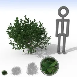 "Small Mid Green Bush 3D Model for Blender 3D - Nature/Outdoor Category. Separated leaves for easy customization. Realistic and highly detailed."