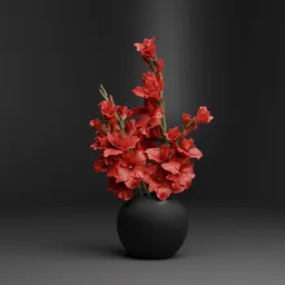 Red Gladiolus in Black Vase