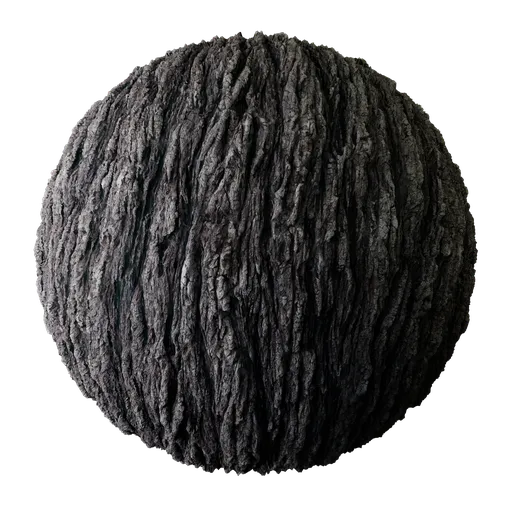Tree Bark
