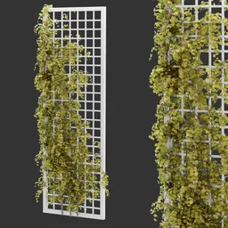 Simple Grid Ivy Plant AQ