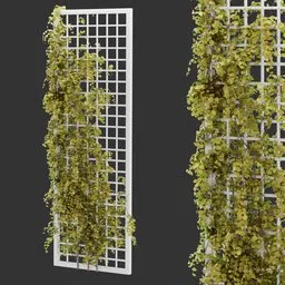 Simple Grid Ivy Plant AQ