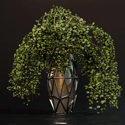 Indoor vase plant