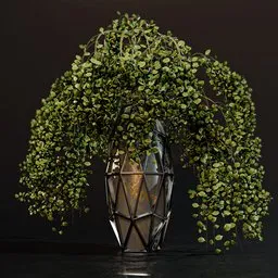 Indoor vase plant