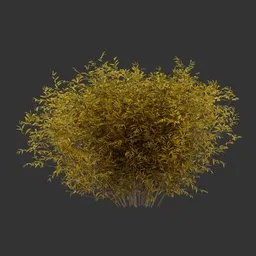Bush Autumn Plant