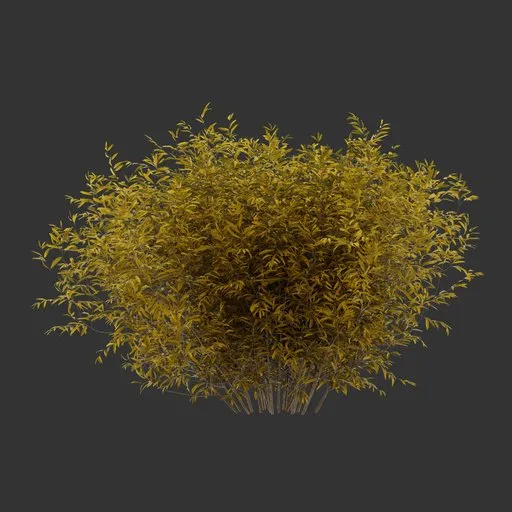 Bush Autumn Plant