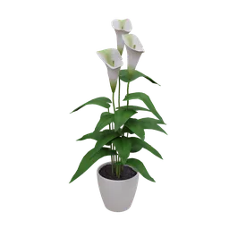 3D model of a white calla lily plant in a pot created with Blender for interior design visualization.