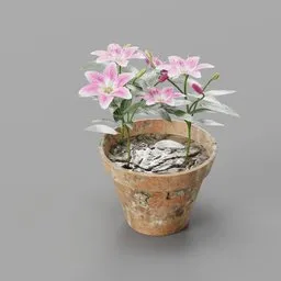 Lily flower pot