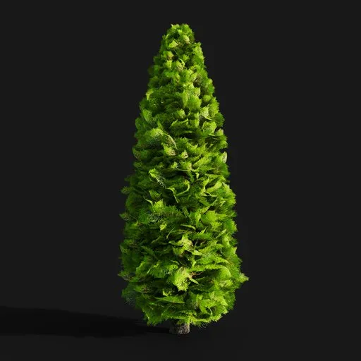 Thuja plant (improved version)