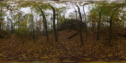 Autumn Forest 01
