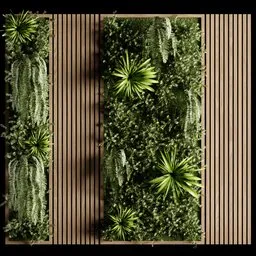 Vertical Garden A