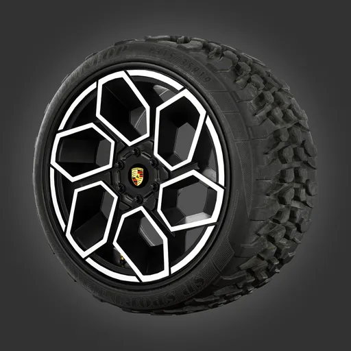 Porsche Wheel