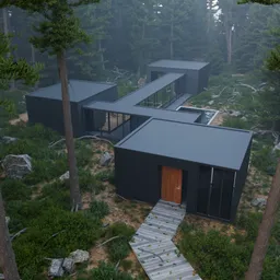 Foggy Forest House