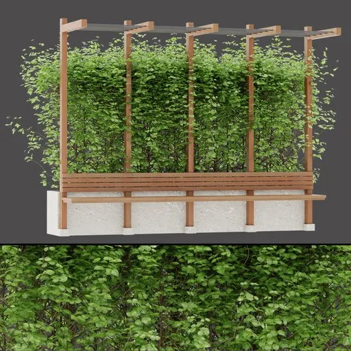 Ivy Covered Pergola Bench