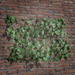 Realistic ivy 3D model on brick wall for Blender, ideal for game assets and virtual environments.