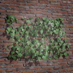 Ivy Creeper Tile 1M 01 01