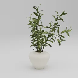 Minimal Green Plant