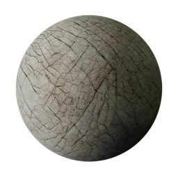 Elephant Skin