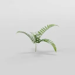 Photo-realistic 3D fern model with PBR textures, low-poly design, translucent leaves, suitable for Blender renders and nature scenes.