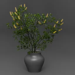 Yellow Flower Potted Plant