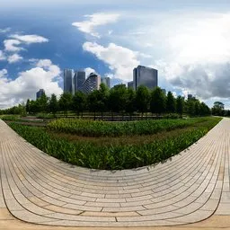 Daytime Riverside Trail