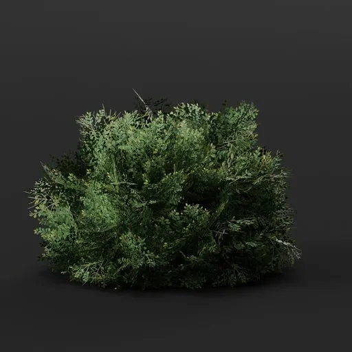 Detailed 3D holly bush model for Blender, designed for virtual landscaping in games and various 3D environments.