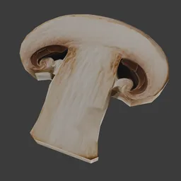 Agaricus mushroom slice
