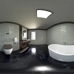 Luxury Contemporary Bathroom