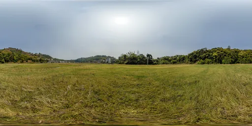 Green grass in the morning