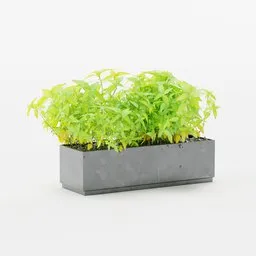 Detailed 3D basil plant in concrete pot model for Blender, perfect for kitchen visualization.