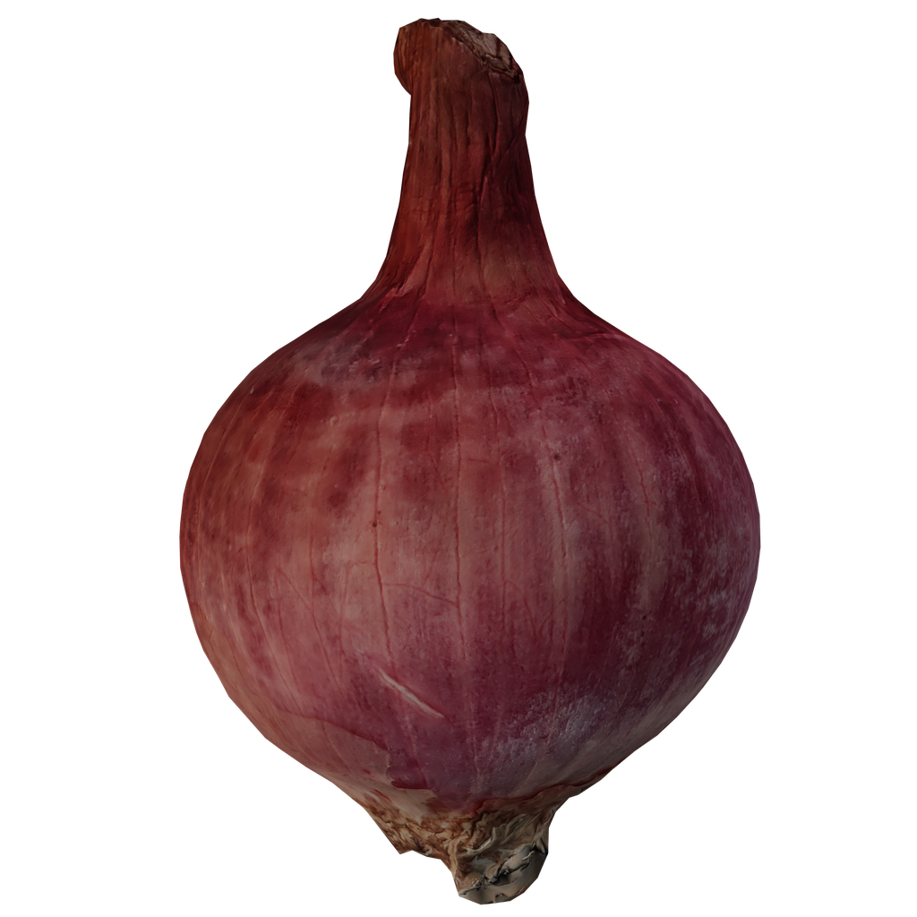 BlenderKit Download the FREE Onion model