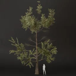 SJ-Green Dream Pine Tree