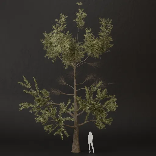 SJ-Green Dream Pine Tree