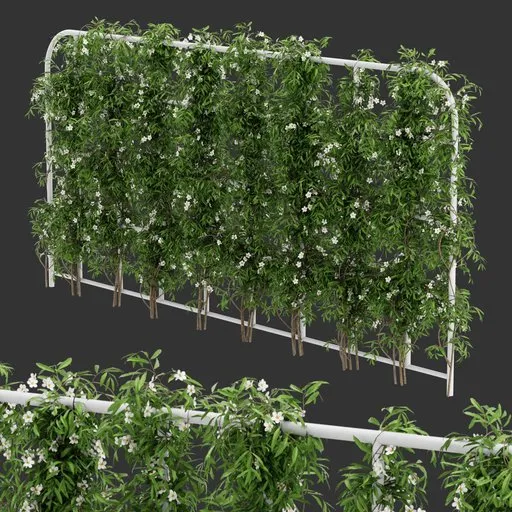 Grid Ivy Flowering Plant