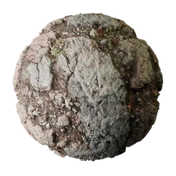 Ground with Rocks and Vegtation