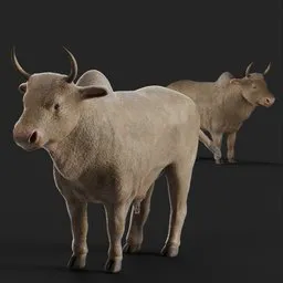Realistic ox 3D model in Blender, rig-ready for quick animation, suitable for Eevee & Cycles renders.