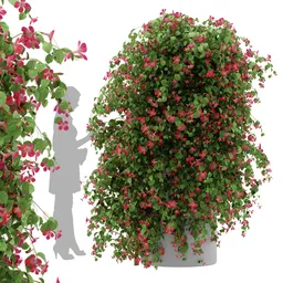 Ivy Flower Column Plant