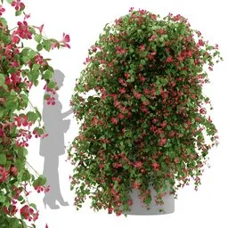 Ivy Flower Column Plant