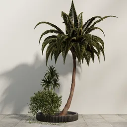 Tropical Trio Planter