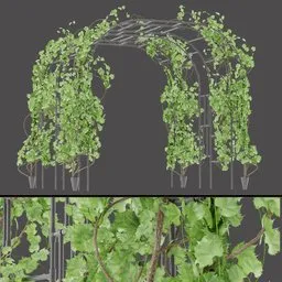 Potted Foliage Arch